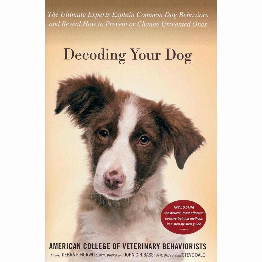 Decoding Your Dog: The Ultimate Experts Explain Common Dog B