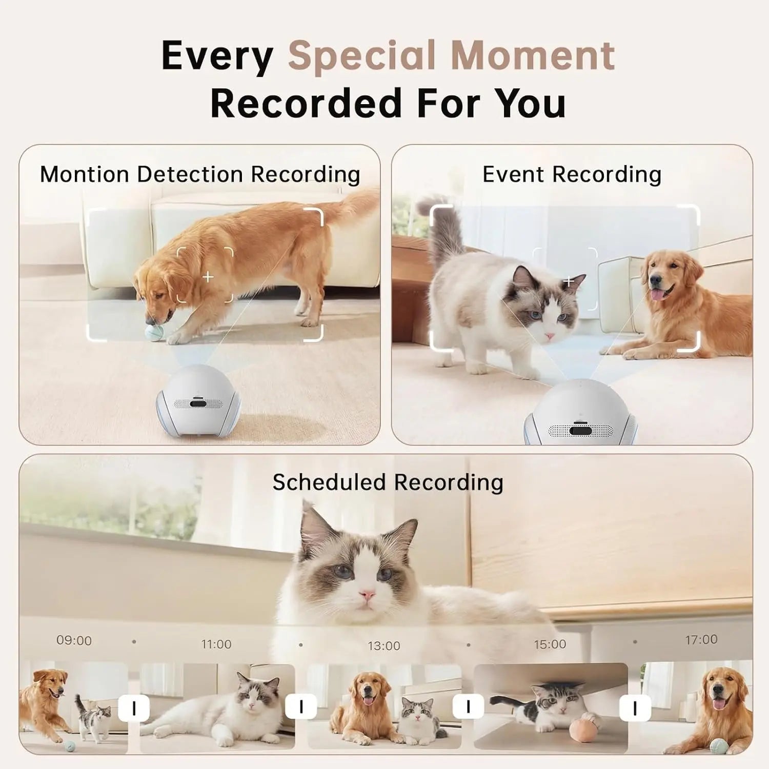 Movable Pet Camera Robot 1080P Two Way Audio Night Vision Auto Recharge
