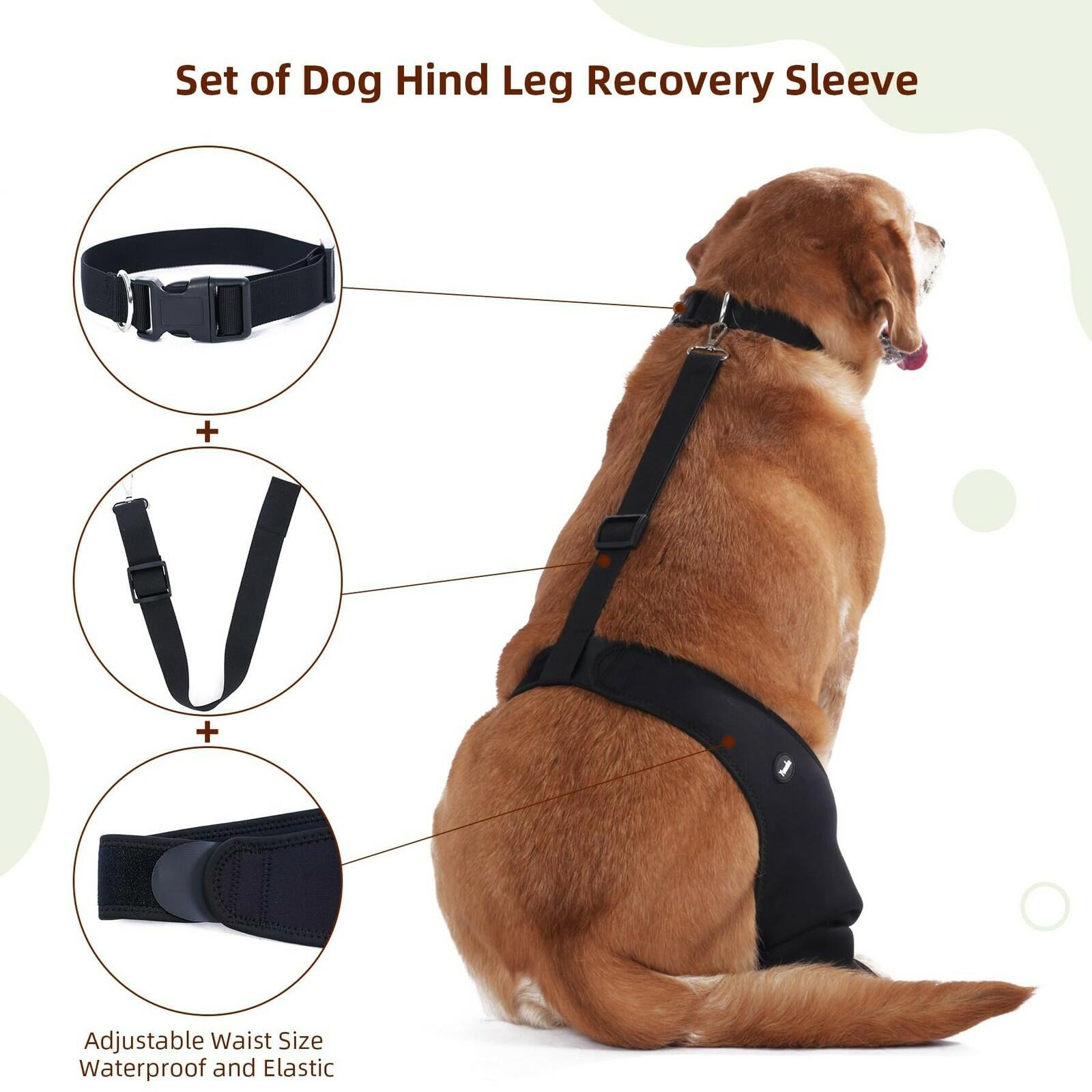 Yoneba Dog Recovery Sleeve Back Leg Breathable Material MPN DEG-08