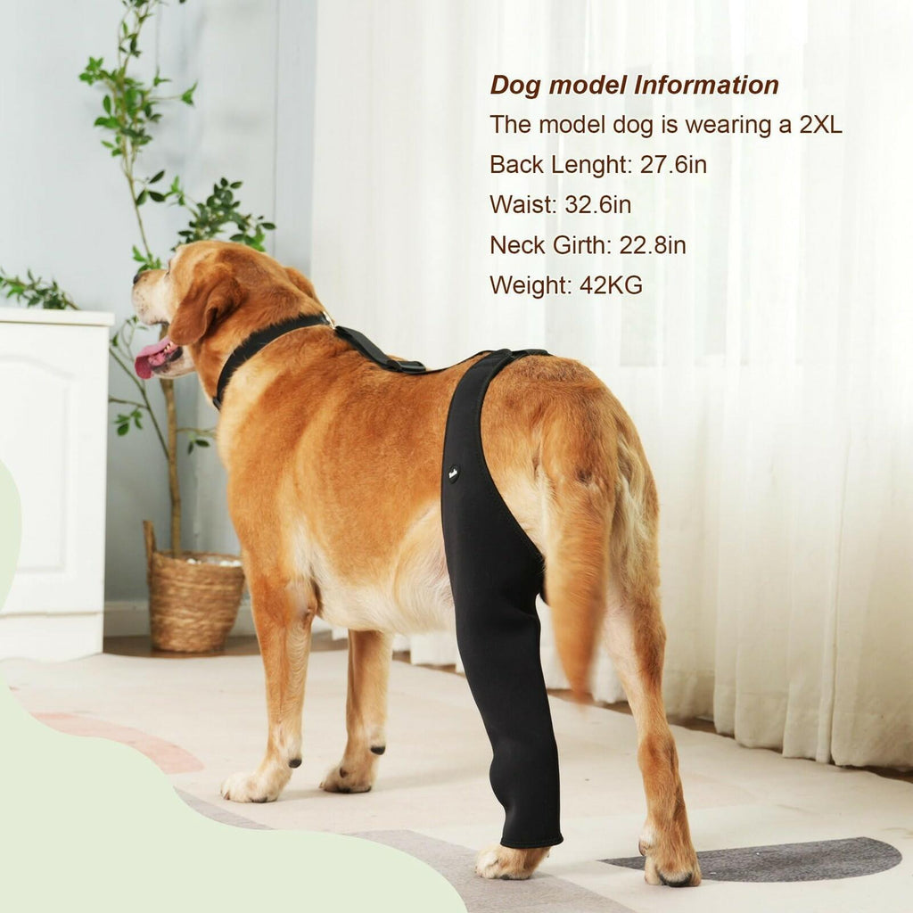 Yoneba Dog Recovery Sleeve Back Leg Breathable Material MPN DEG-08