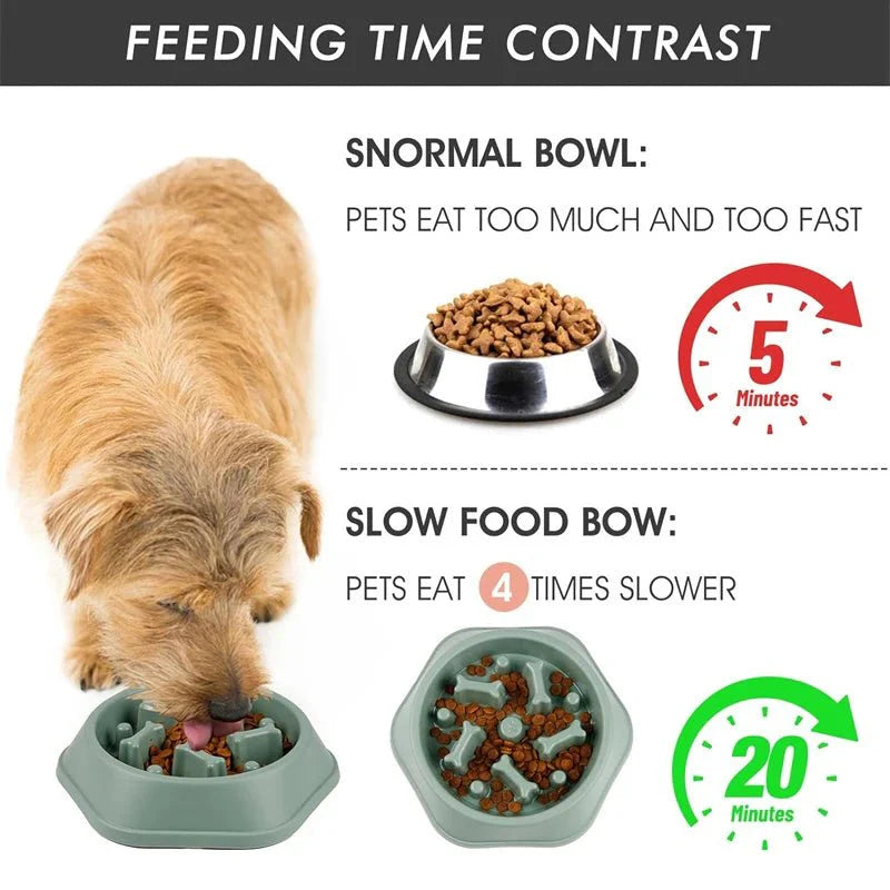 Slow Feeder Dog Bowl – Anti-Choking Puzzle Food Dish
