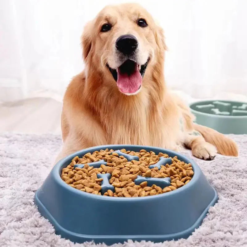 Slow Feeder Dog Bowl – Anti-Choking Puzzle Food Dish